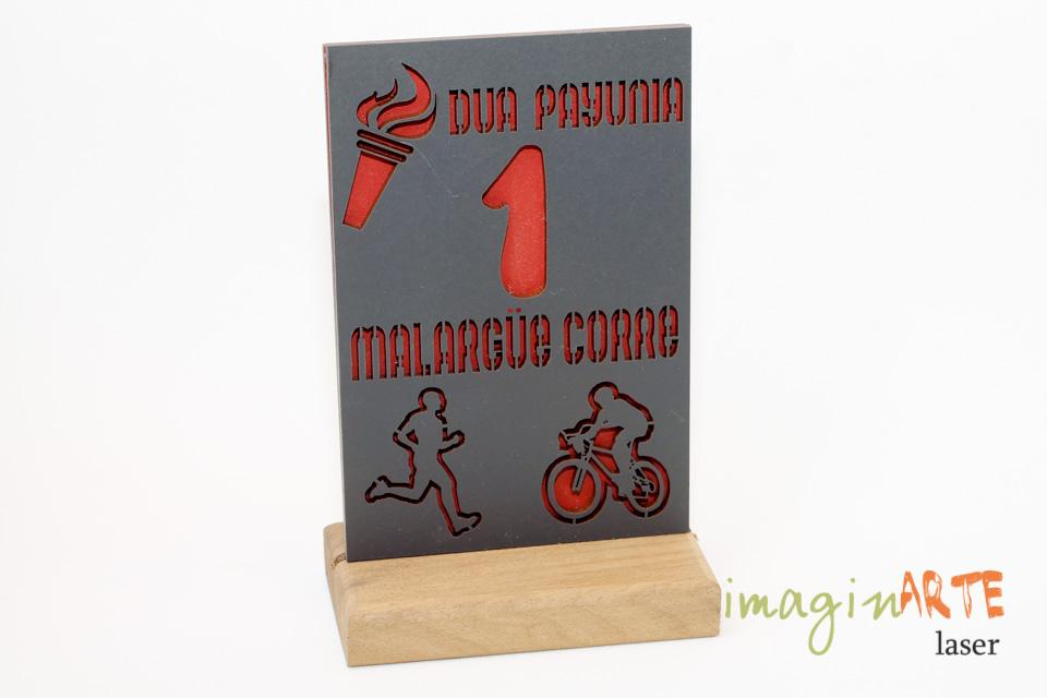 Premio Triatlón