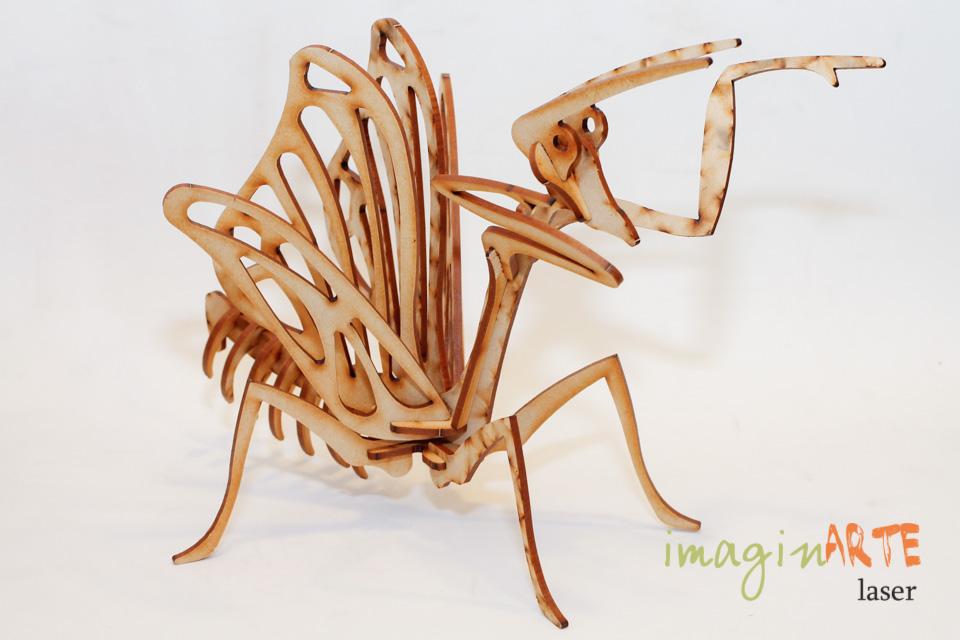 Mantis
