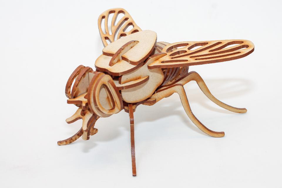 Mosca